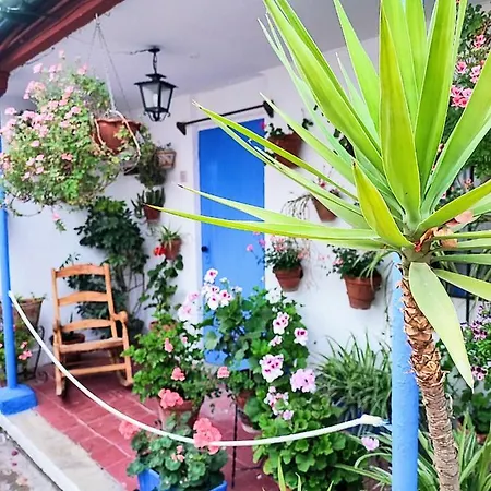 Apartment Alcazar San Basilio *