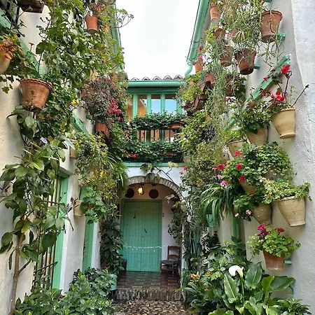 Alcazar San Basilio Córdoba